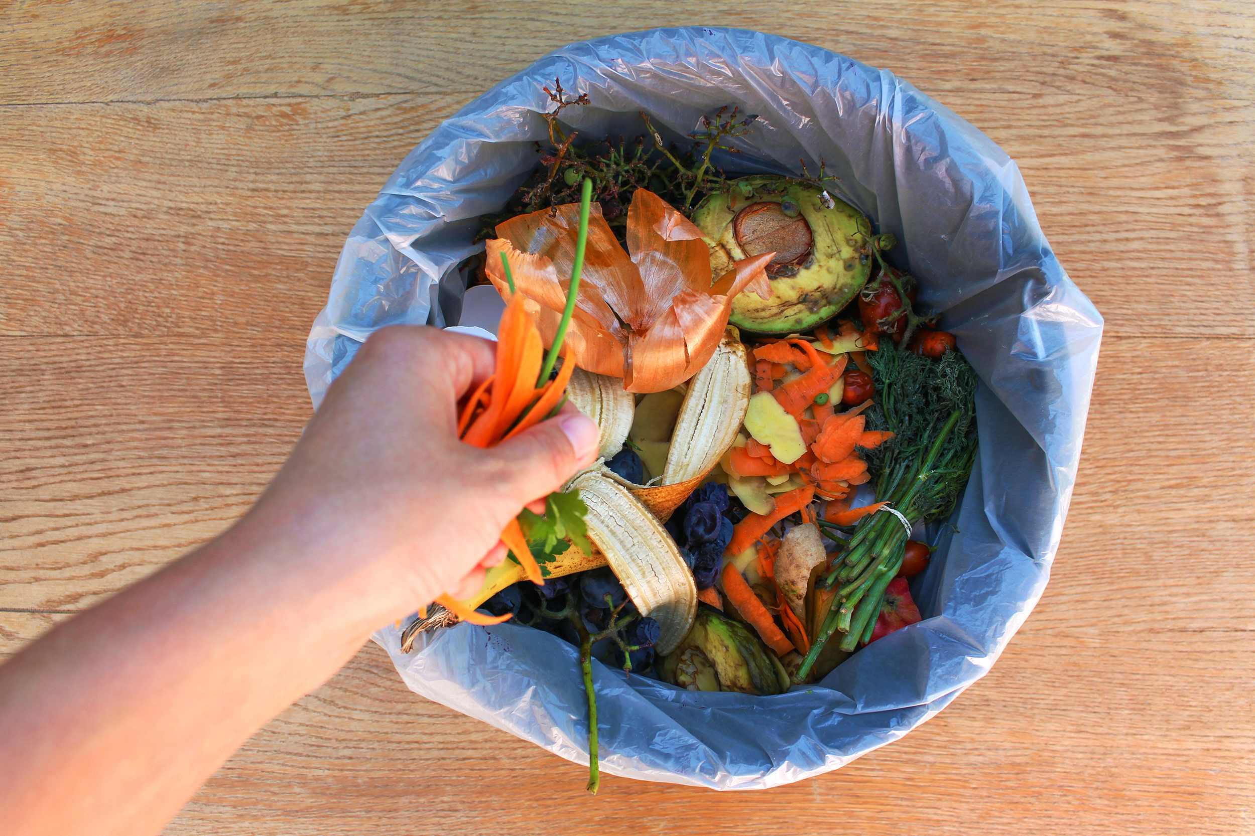 Food waste in a single occupancy household